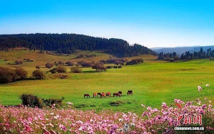 的褶皱地带, 竞技水平稳, 景区